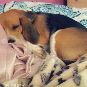 Meet your Posher, Lillian